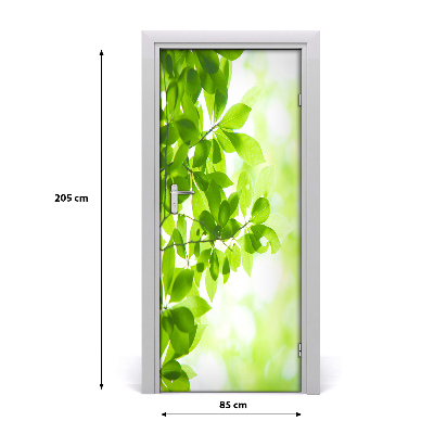 Self-adhesive door sticker Green leaves