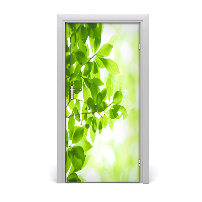 Self-adhesive door sticker Green leaves