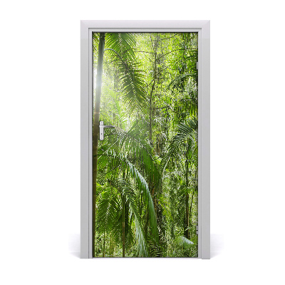 Door wallpaper The rainforest