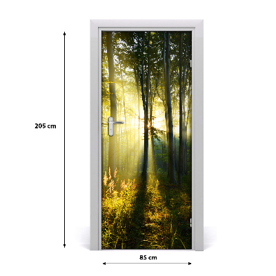 Self-adhesive door wallpaper Forest landscape