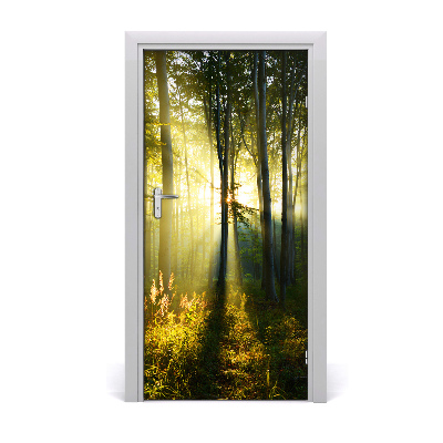 Self-adhesive door wallpaper Forest landscape