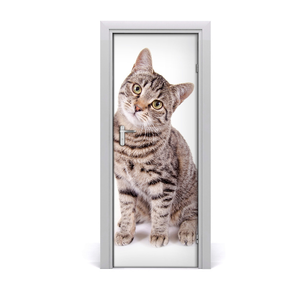 Self-adhesive door sticker Wall cat