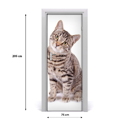 Self-adhesive door sticker Wall cat