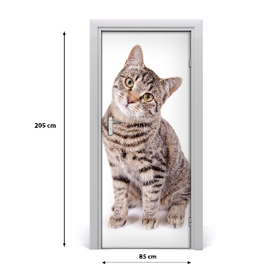 Self-adhesive door sticker Wall cat