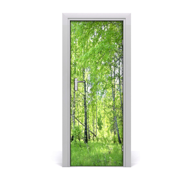 Door wallpaper Birch forest