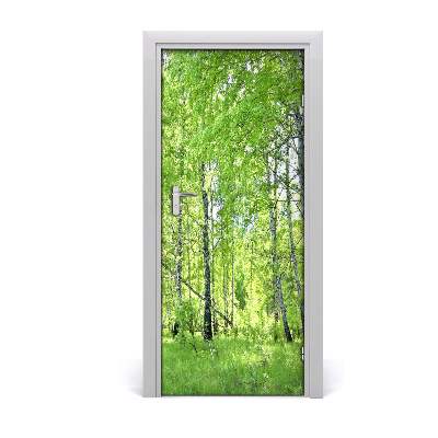 Door wallpaper Birch forest