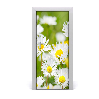 Self-adhesive door sticker Daisies