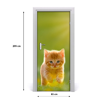 Self-adhesive door sticker Wall of red cat