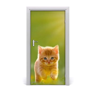 Self-adhesive door sticker Wall of red cat