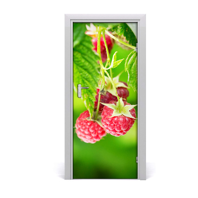 Self-adhesive door sticker Raspberries on the bush