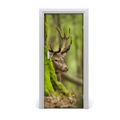 Self-adhesive door sticker The wall of deer