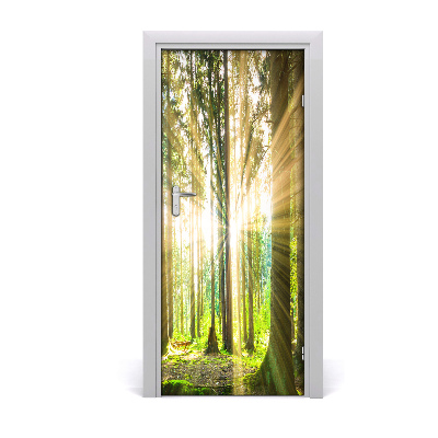 Door wallpaper Sun in the forest