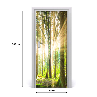 Door wallpaper Sun in the forest