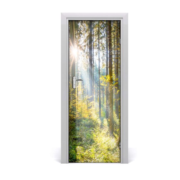 Door wallpaper Sun in the forest