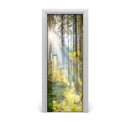 Door wallpaper Sun in the forest