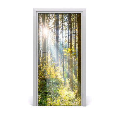 Door wallpaper Sun in the forest