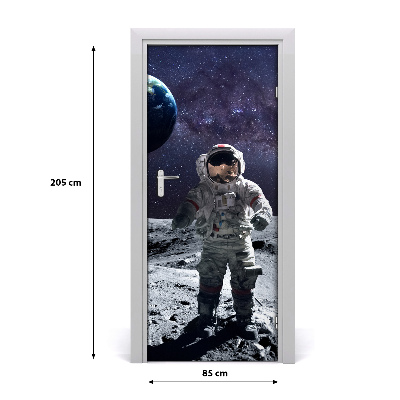 Self-adhesive door wallpaper Astronaut