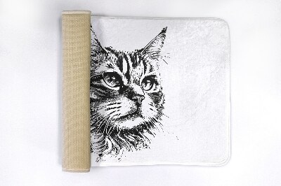 Bathmat Cat animals