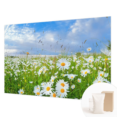 Non-woven photo wallpaper Summer meadow