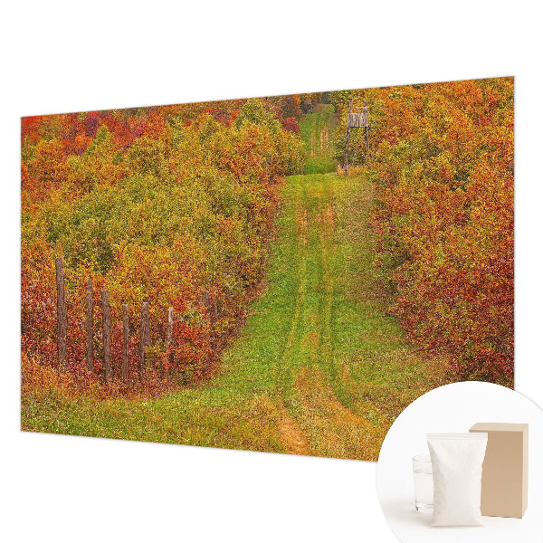 Photo wallpaper Autumn colors