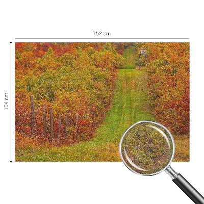 Photo wallpaper Autumn colors