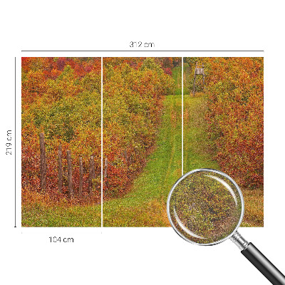 Photo wallpaper Autumn colors