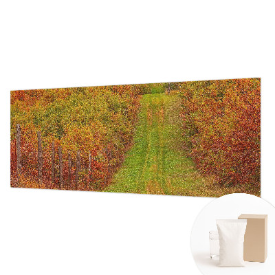 Photo wallpaper Autumn colors