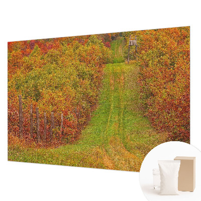 Photo wallpaper Autumn colors