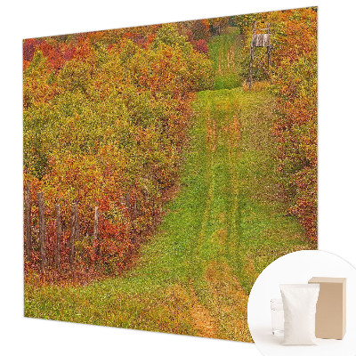 Photo wallpaper Autumn colors