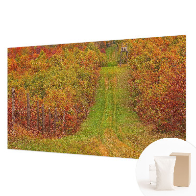 Photo wallpaper Autumn colors
