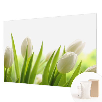 Photo wall mural White tulips
