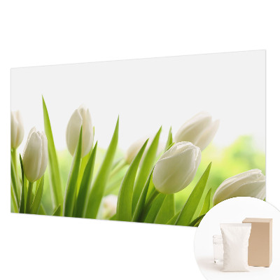 Photo wall mural White tulips