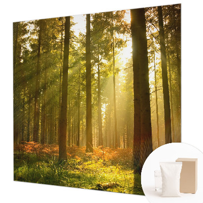 Wall mural for bedroom Forest morning