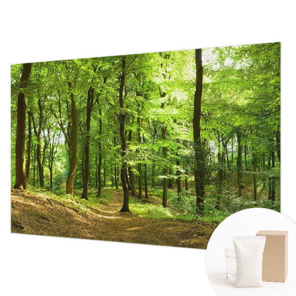 Modern wall mural for living room Natural path