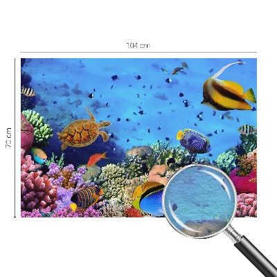 High quality photo wallpaper Coral reef