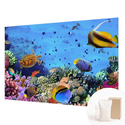 High quality photo wallpaper Coral reef