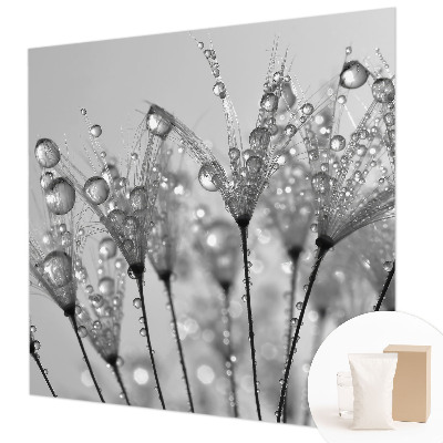 Wallpaper mural Wet delicacy