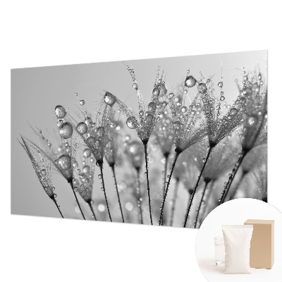 Wallpaper mural Wet delicacy