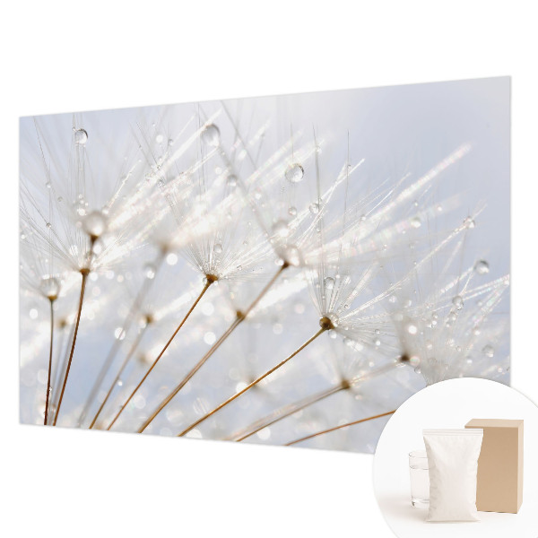 Premium photo wallpaper Rosy dandelion