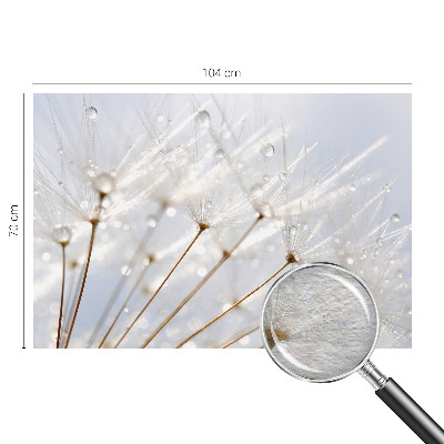 Premium photo wallpaper Rosy dandelion
