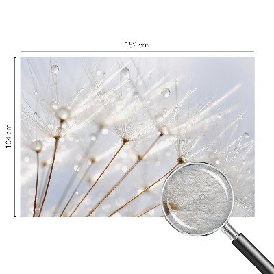 Premium photo wallpaper Rosy dandelion