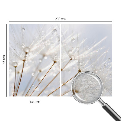 Premium photo wallpaper Rosy dandelion