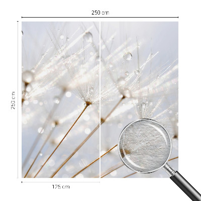 Premium photo wallpaper Rosy dandelion
