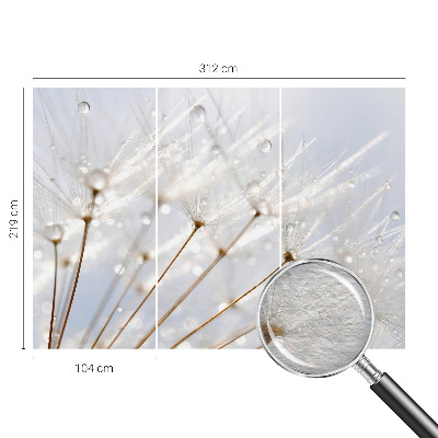 Premium photo wallpaper Rosy dandelion
