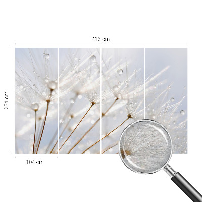 Premium photo wallpaper Rosy dandelion
