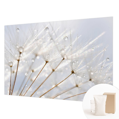 Premium photo wallpaper Rosy dandelion