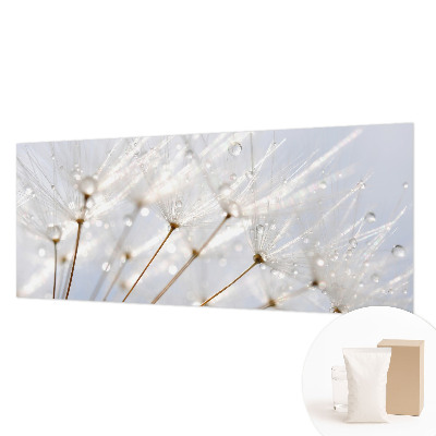 Premium photo wallpaper Rosy dandelion