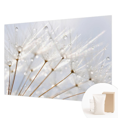 Premium photo wallpaper Rosy dandelion