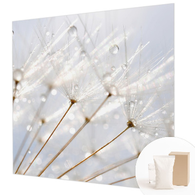 Premium photo wallpaper Rosy dandelion