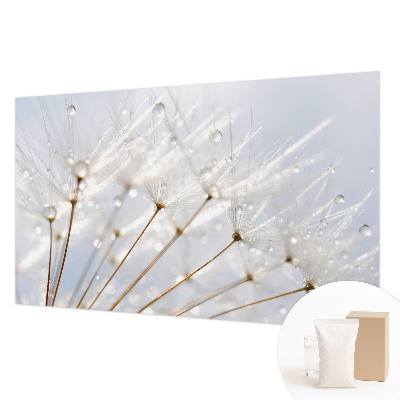 Premium photo wallpaper Rosy dandelion